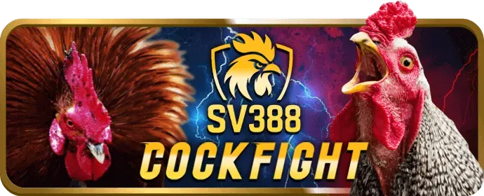 Mẹo chọn game Slot có RTP cao